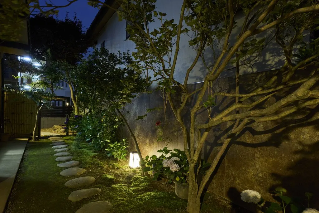 植栽灯が目隠しと植栽を照らす、夜の中庭