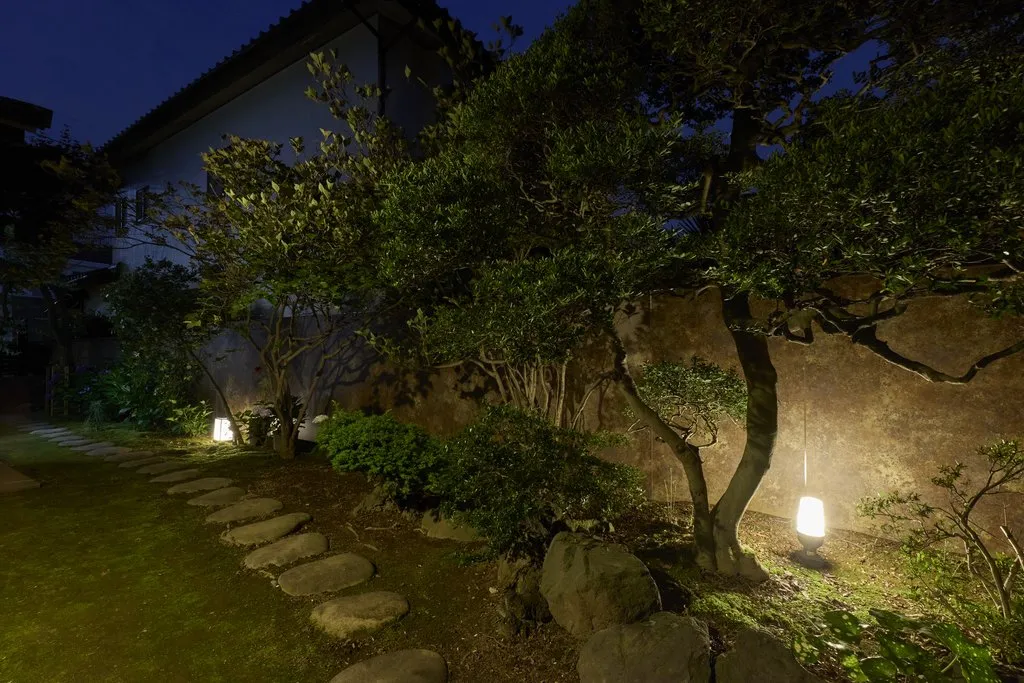 夜の照明に浮かぶ中庭の植栽