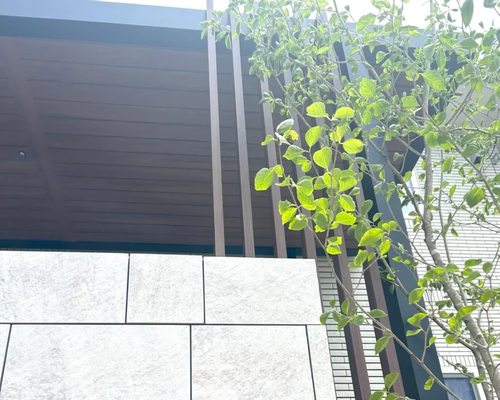 背の高いシンボルツリーの柔らかな枝葉で建物の重厚さを中和した前庭