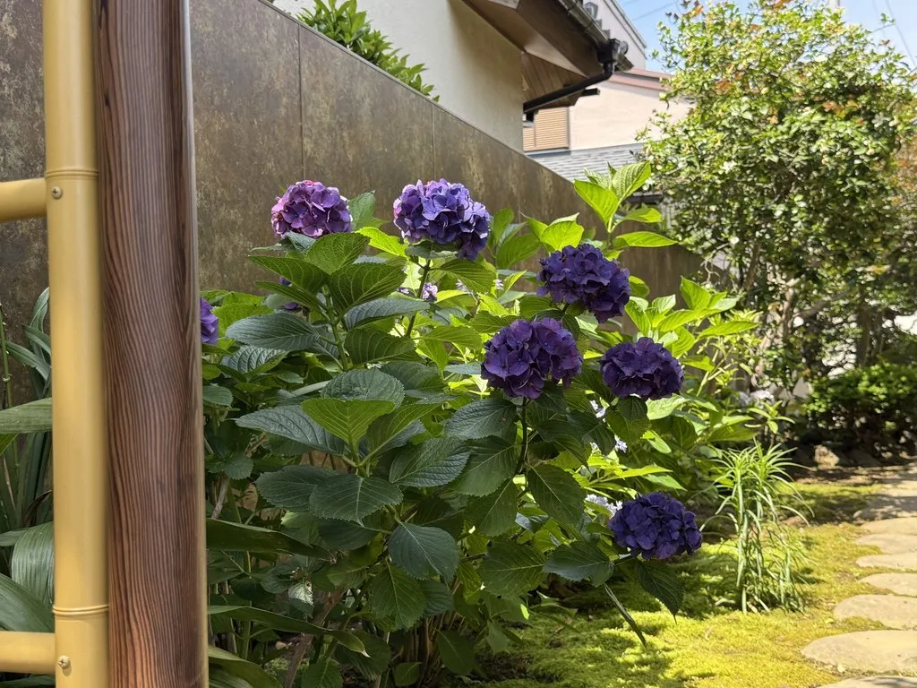 昼の中庭と、アートボードの目隠し