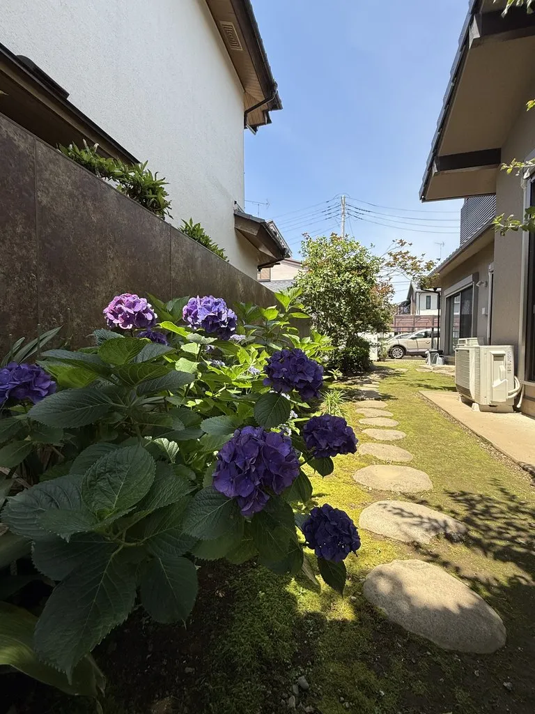 植栽を引き立てる、縦長のアートボードの目隠し